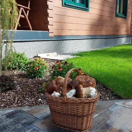 Roubenka Na číně *