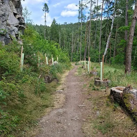 Roubenka Na Cine * Želiv