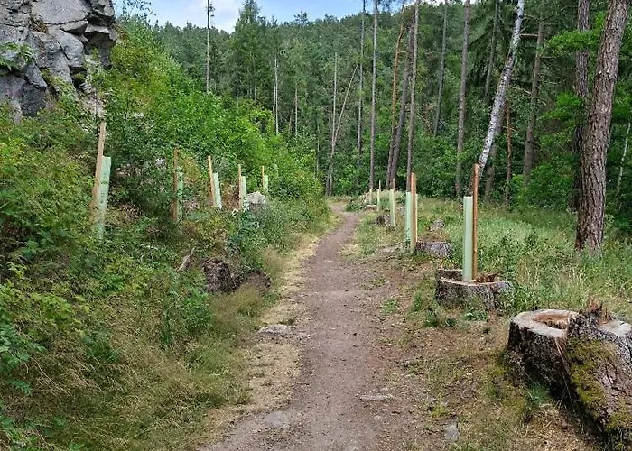 Roubenka Na Cine * Želiv